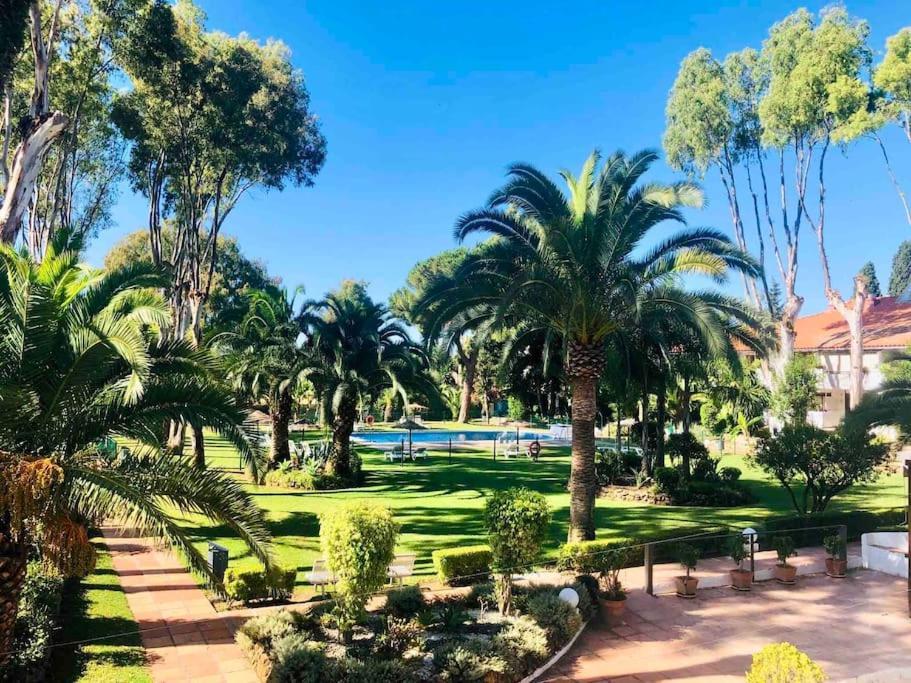 Puerto Banus Eddie Suite Marbella Kültér fotó