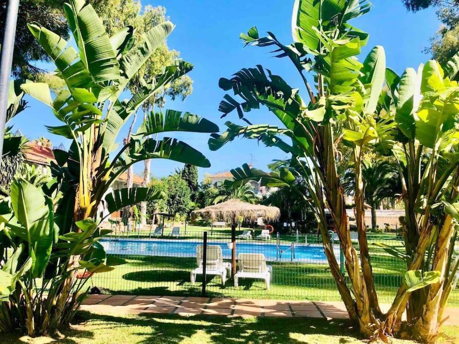 Puerto Banus Eddie Suite Marbella Kültér fotó